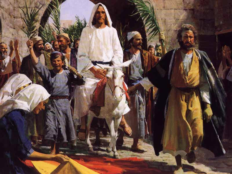 Quelques temps avant Pessah, le Messie rentre à Jérusalem sur un ânon, le petit d'une ânesse 